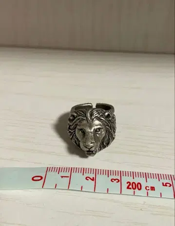 사자 반지