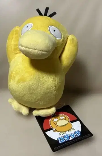 코닥 포켓몬 센터 봉제 인형 2016