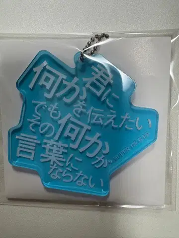 SUPER BEAVER 아크릴 키링 your song