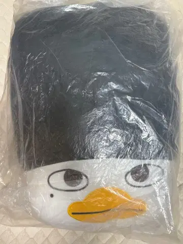 RIIZE SOHEE 소희 토브라이언 라이즈 중국 한정판 쿠션