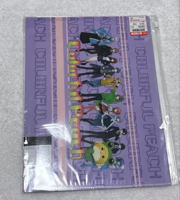 컬러풀 피치 지퍼 달린 포켓 클리어 파일