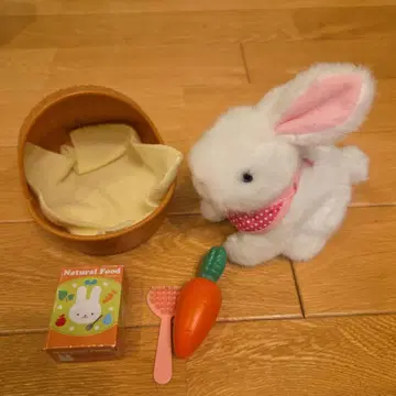 토끼 봉제 인형과 소꿉놀이 세트