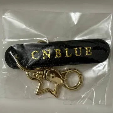 CNBLUE AUTUMN LIVE SHINTOUYA 백참