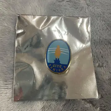 귀멸의 칼날 기둥전 토미오카 기유 컬렉션 핀즈 나기