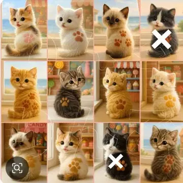 접수 돌아보는 냥코