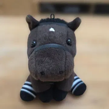 디어링 택트 아이돌 호스 S