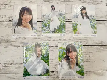 노기자카46 카키 하루카 코코니와 나이모노 개별 브로마이드