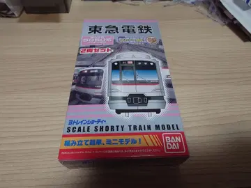 B 트레인 도큐 5050계 4000번대 2량 세트