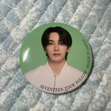 SEVENTEEN TOUR 'FOLLOW' AGAIN 정한 캔 배지