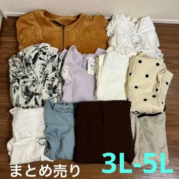 [ 3L-5L ] 묶음 판매 빅 사이즈 여성용:E