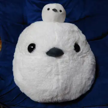 복복 시마연가 다정한 모자 컬러풀 시마짱 모자 블루