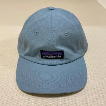patagonia 스카이블루 캡