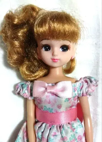 리카짱 인형 본체 꽃무늬 드레스