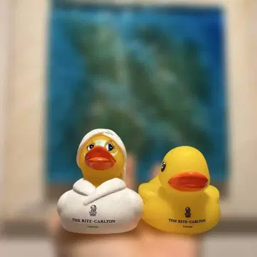 리츠 칼튼 오리 2체
