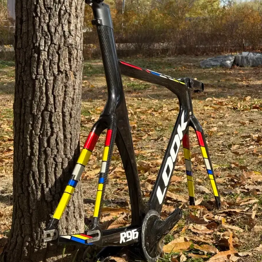 Look r96 m size frameset | Bunjang Global
