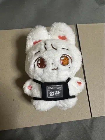 SEVENTEEN 세븐틴 정한 봉제 인형 의류 포함 10cm
