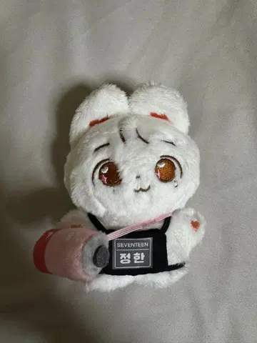 SEVENTEEN 세븐틴 정한 봉제 인형 의류 포함 10cm