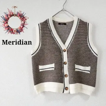 메리디안 올 패턴 니트 베스트 라메  V 넥 라인 바이컬러 스쿨