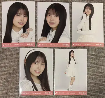 노기자카46 브로마이드 신참자 6기생 special 모리히라 레이신