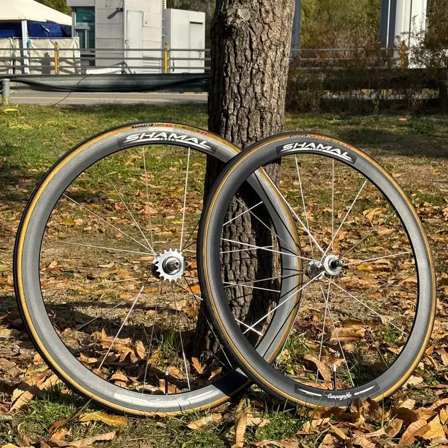【レア】campagnolo SHAMAL TRACK ピスト ホイール Campagnolo Shamal Wheelset