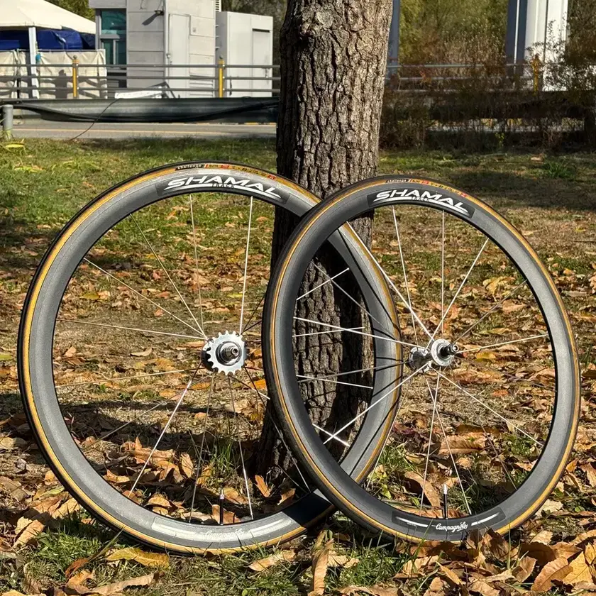 Campagnolo Shamal Track Black Wheelset | Bunjang Global