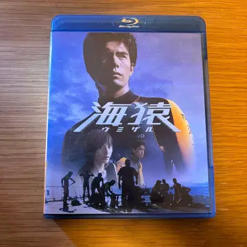 카이엔 Blu-ray 우미자루