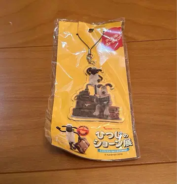 숀더쉽 전시회 한정판 아크릴 스트랩