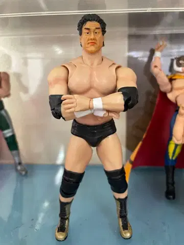 S.H. 피규아트 텐류 겐이치로 커스텀 피규어