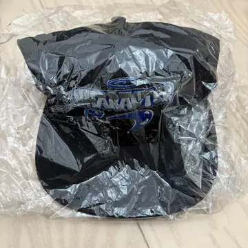 하세가와 신 CHARACTER CAP