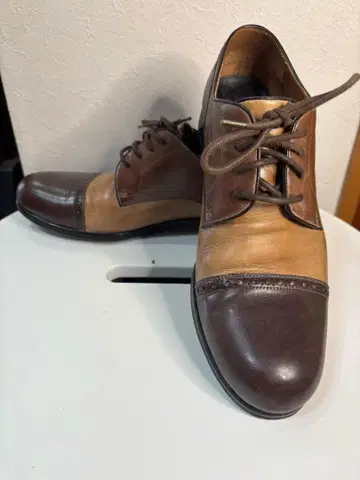 윙팁 가죽 신발