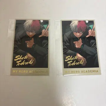 히로아카 토도로키 쇼토 원화전 메모리얼 컬렉션