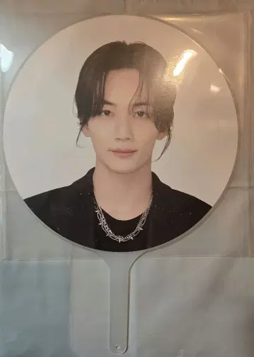 seventeen 세븐틴 follow 정한 부채