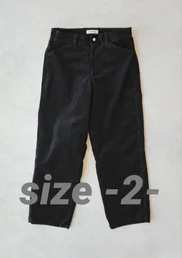 Echeveria Corduroy Torouthers OVY kaja