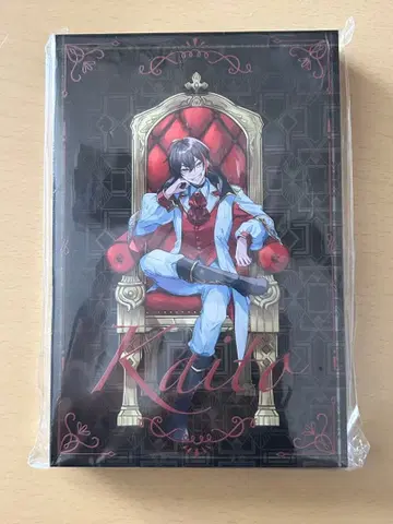 메론파카 KAITO 스토리 생일 굿즈 아크릴 블록 미개봉