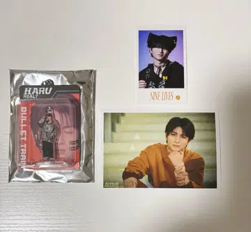 초특급 하루 REAL? 블리스터 키링 브로마이드 미니 사진