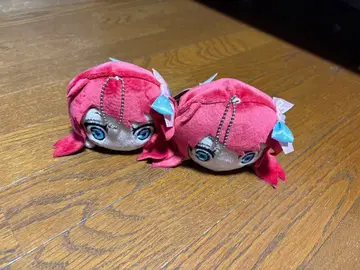 미나모토 사쿠라 눕기