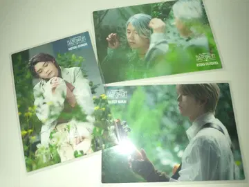 미세스 포토 카드 바벨 프로리저널 3매 세트