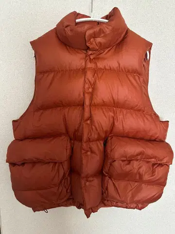 DAIWA PIER39 Ws TECH BACKPACKER DOWNVEST