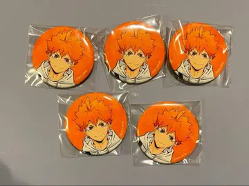 하이큐 토부 동물원 콜라보 캔뱃지 히나타