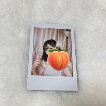 타카미네노 나데시코 하시모토 모모코 LARME 폴라로이드