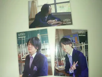 미세스 포토 카드 바벨 라일락 3장 세트