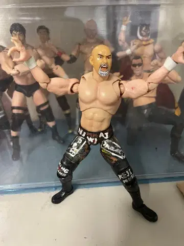 S.H. 피규아트 무토 케이지 커스텀 피규어