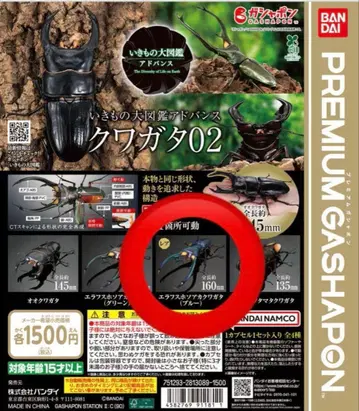 생물대도감 어드밴스 사슴벌레 02 에라푸스 호소아카사슴벌레 블루