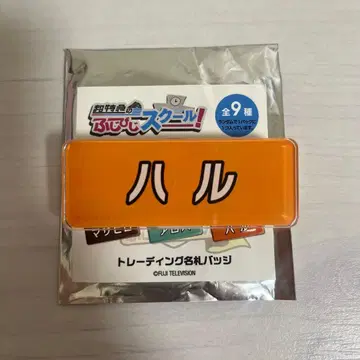 초특급 하루 후지비지 명찰