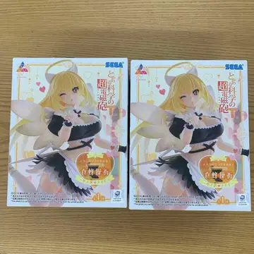 어떤 과학의 초전자포 쇼쿠호 미사키 2개 세트