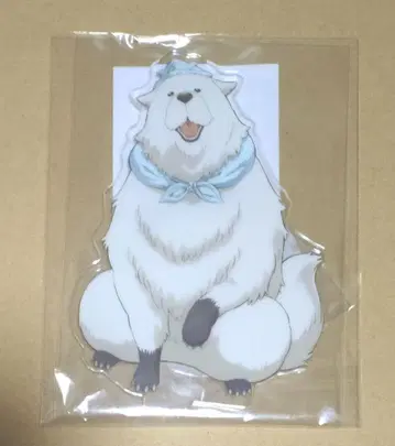 TOHO 10주년 마루이 OIOI 아크릴 스탠드 스파이 패밀리