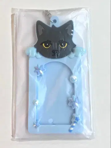 NEXZ 사진 카드 케이스 유우