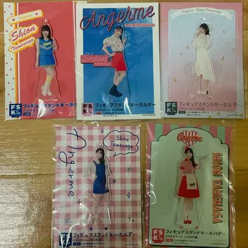 안쥬르므 타메나가 시온 FSK 5점 세트