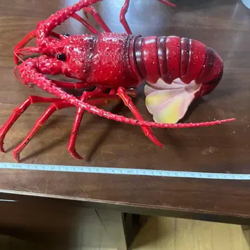 리얼 랍스터 피규어 약 30cm