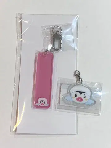 NEXZ POPUP 참 토모야